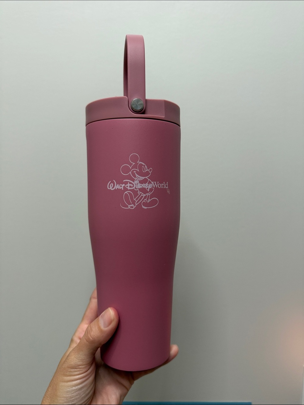 Disney Parks Corkcicle
